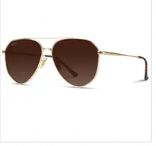 Load image into Gallery viewer, Ramsey Geometric Polarized Sunglasses // Gold Frame / Brown Lens
